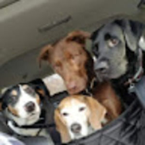 Meet your Posher, Greg